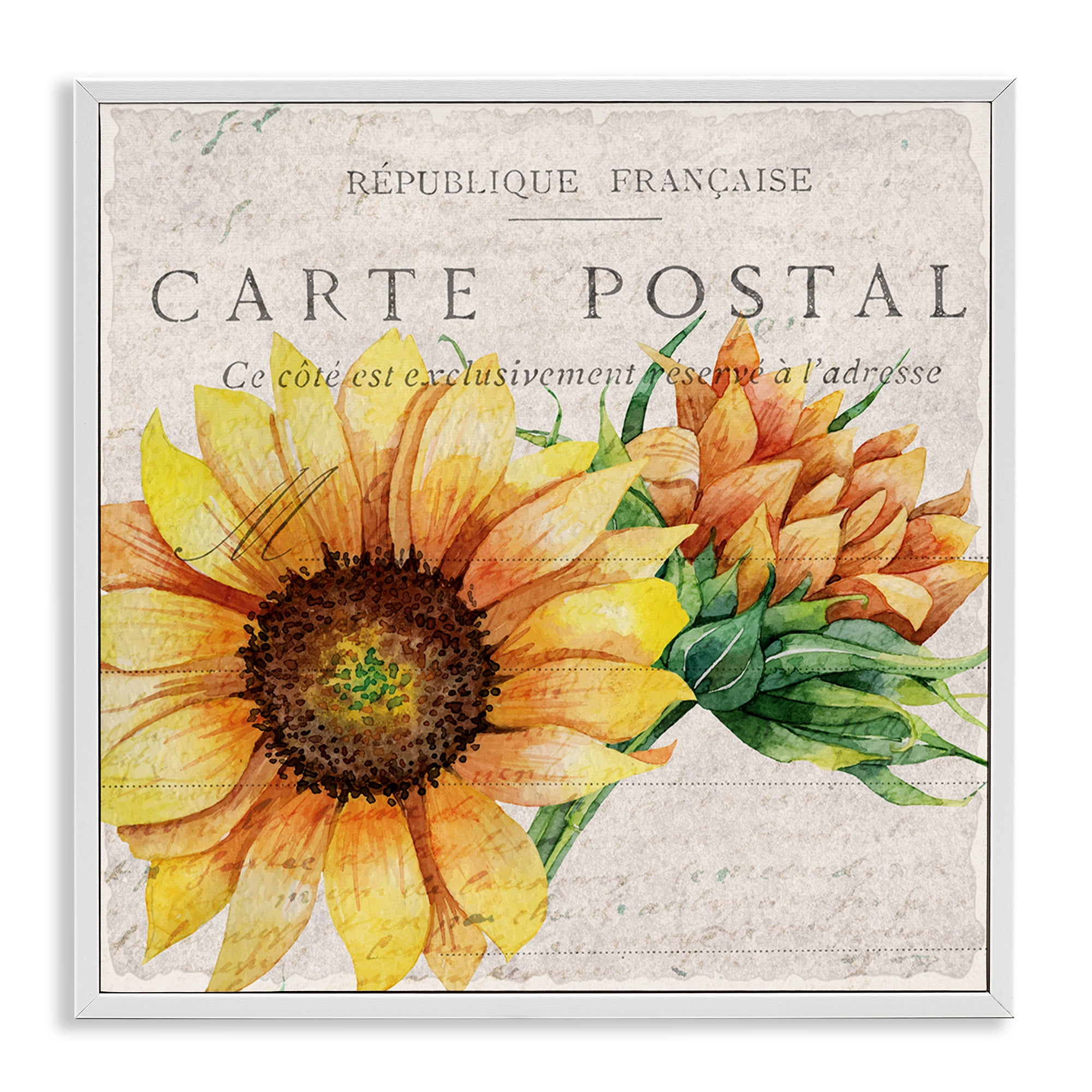 Stupell Industries Vintage French Sunflower Postcard Botanical & Floral Painting White Framed Art Print Wall Art, 12 x 12