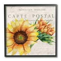Stupell Industries Vintage French Sunflower Postcard Floral Illustration Black Framed by Kim Allen