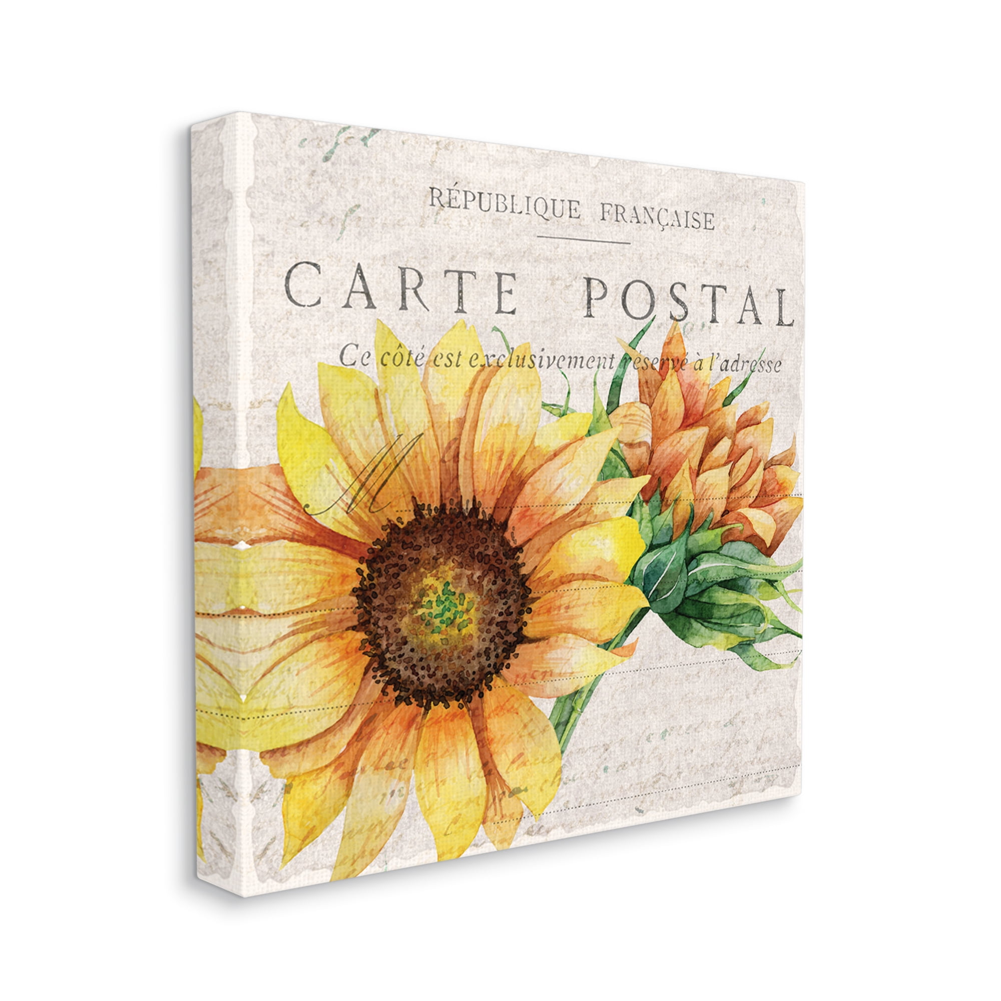 Stupell Industries Vintage French Sunflower Postcard Floral Illustration Canvas Wall Art by Kim Allen