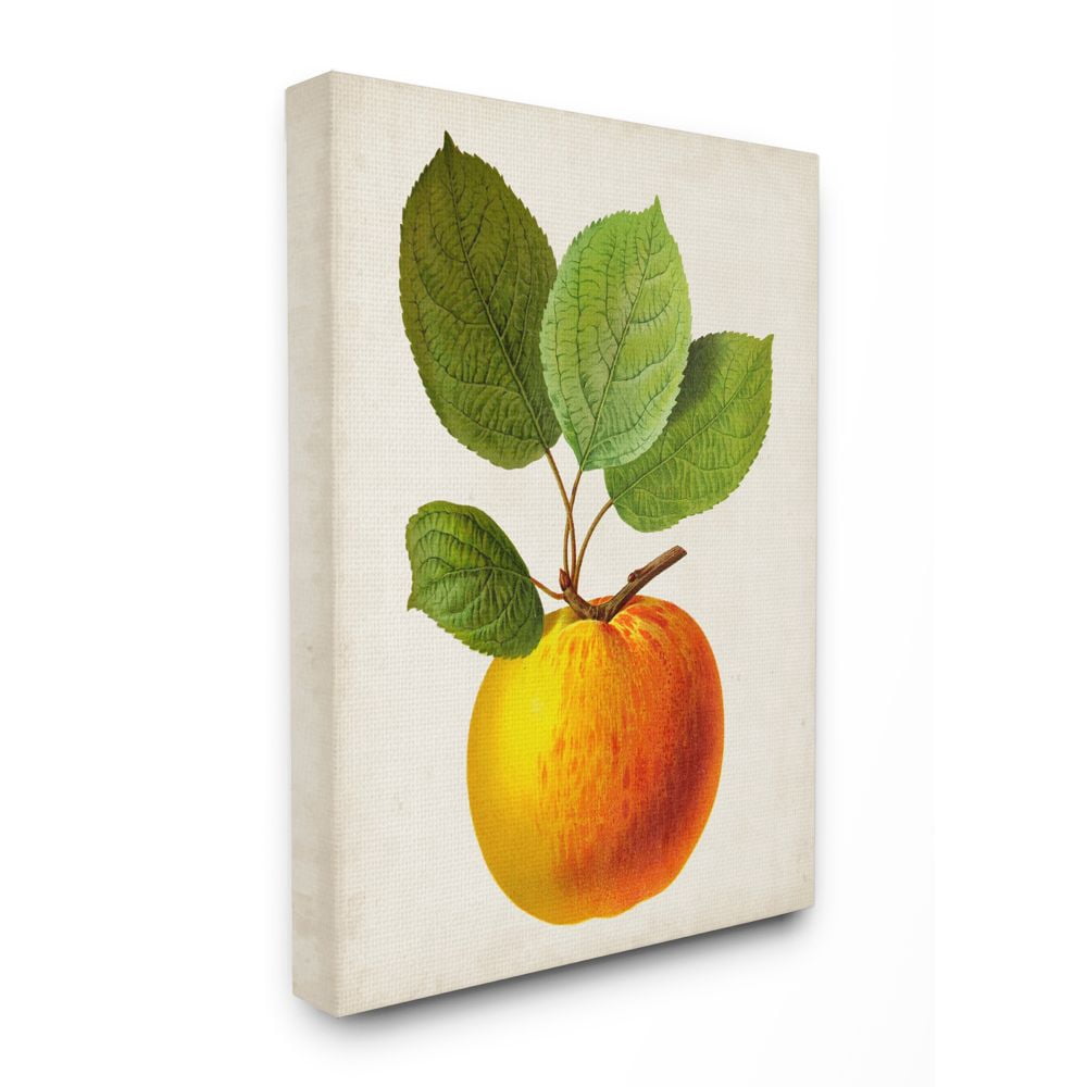 Stupell Industries Vintage Fruit Apple Painting Canvas Wall Art by Vision Studio