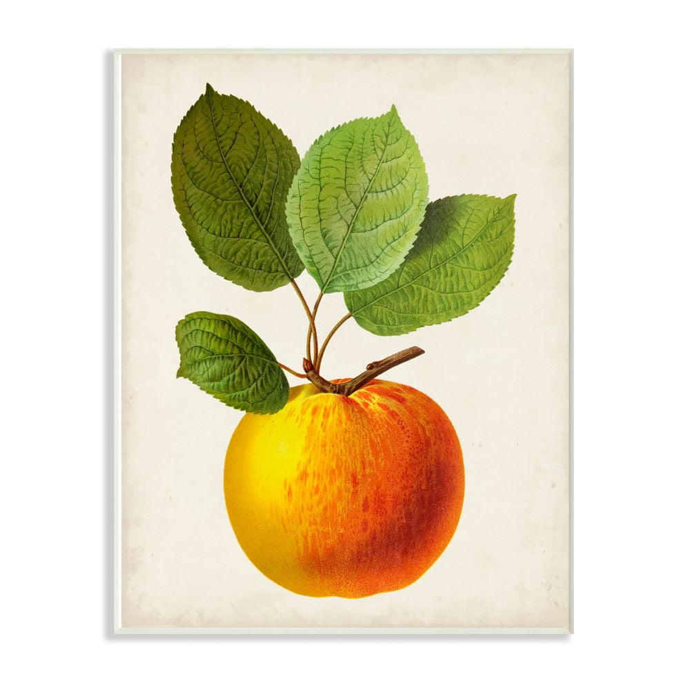 Stupell Industries Vintage Fruit Apple Painting Wall Plaque Art by Vision Studio