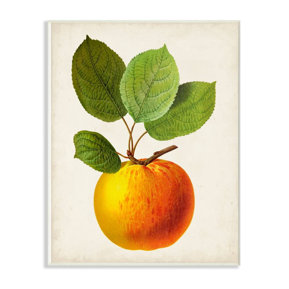Stupell Industries Vintage Fruit Apple Painting Wall Plaque Art by Vision Studio