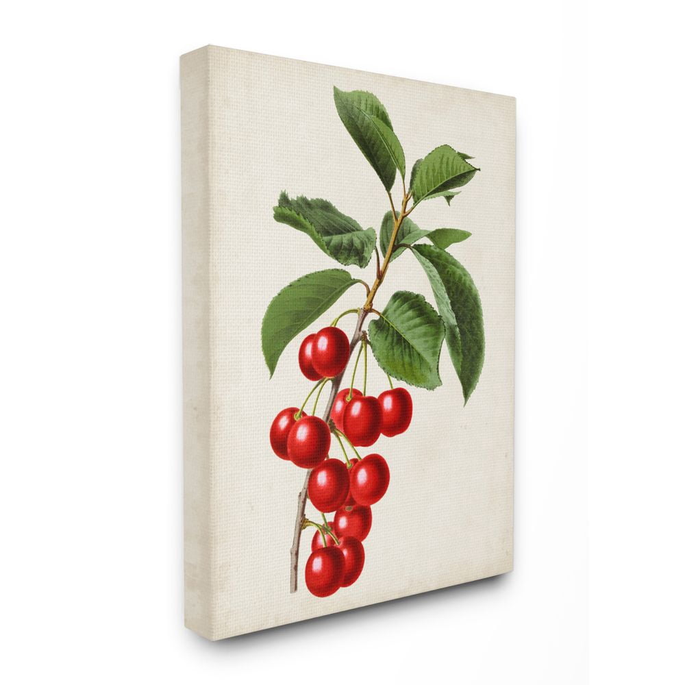 Stupell Industries Vintage Fruit Cherry Painting Canvas Wall Art by Vision Studio