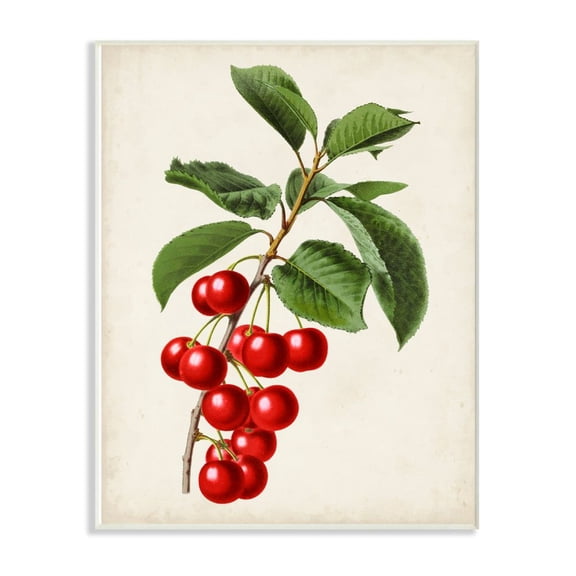 Stupell Industries Vintage Fruit Cherry Painting Wall Plaque Art by Vision Studio
