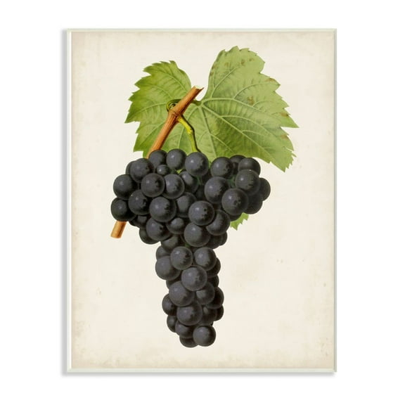 Stupell Industries Vintage Fruit Grape Painting Wall Plaque Art by Vision Studio