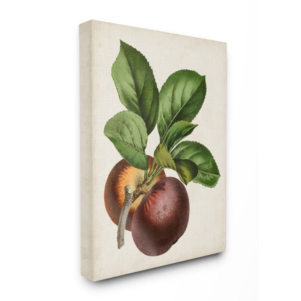 Vintage Fruit Painting on Canvas with Wooden Frame