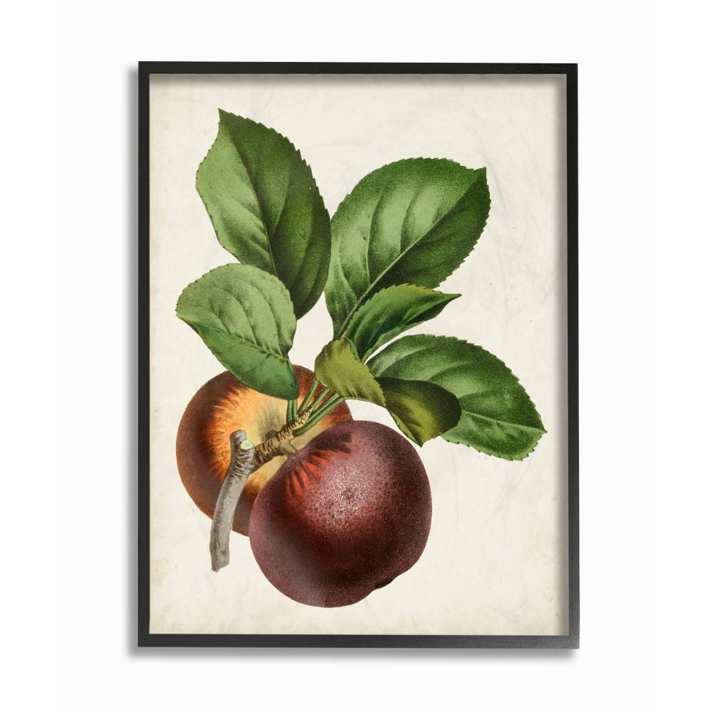 Vintage Fruit Print on Canvas with Black Frame