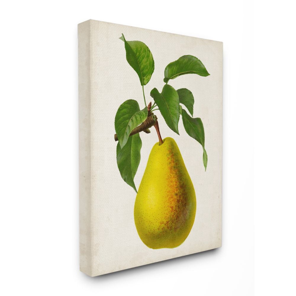 Stupell Industries Vintage Fruit Pear Painting Canvas Wall Art by Vision Studio