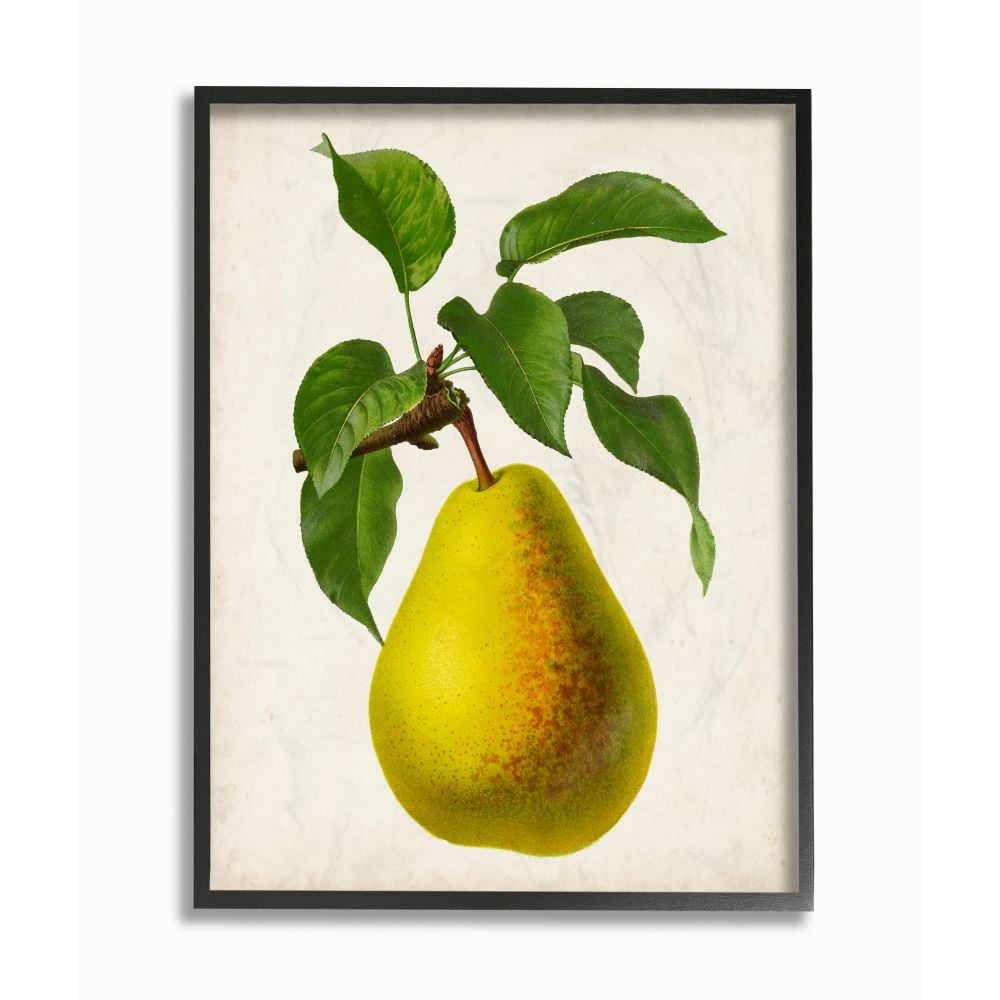 Stupell Industries Vintage Fruit Pear Painting Framed Giclee Texturized Art by Vision Studio