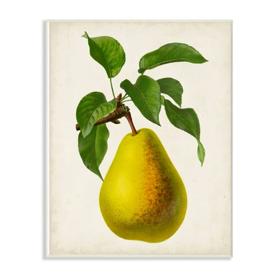Stupell Industries Vintage Fruit Pear Painting Wall Plaque Art by Vision Studio