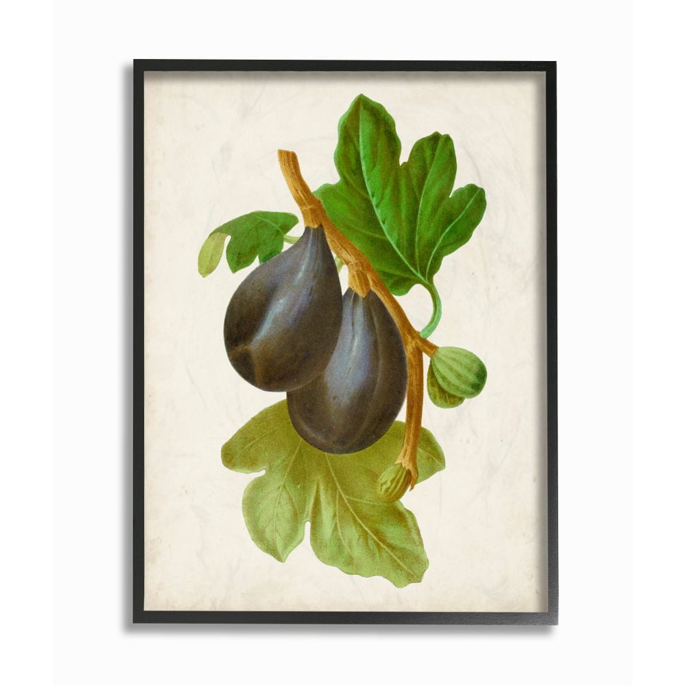 Stupell Industries Vintage Fruit Plum Painting Framed Giclee Texturized Art by Vision Studio