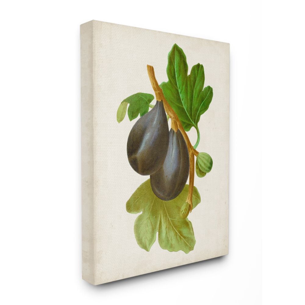 Stupell Industries Vintage Fruit Plum Painting Super Canvas Wall Art by Vision Studio