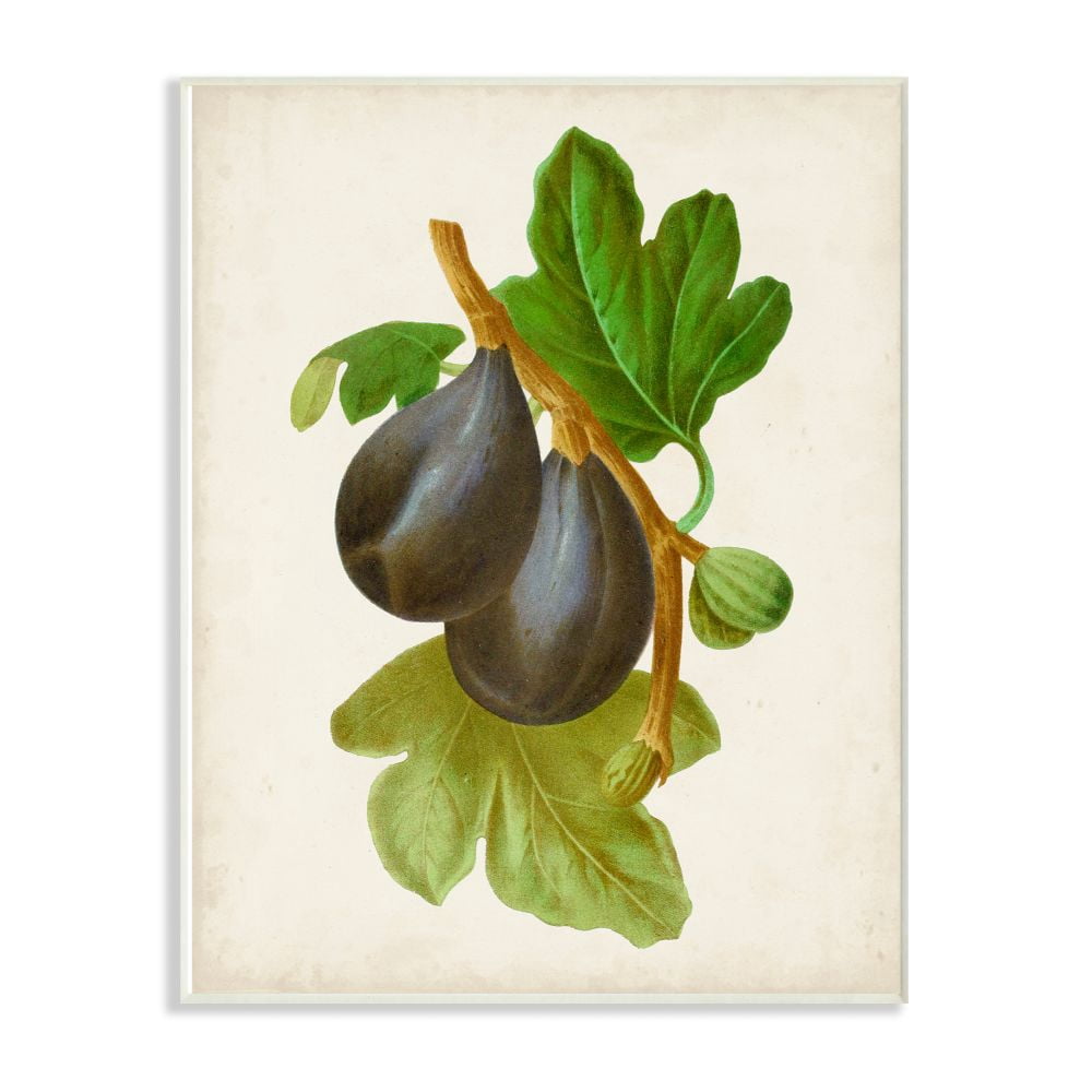 Stupell Industries Vintage Fruit Plum Painting Wall Plaque Art by Vision Studio