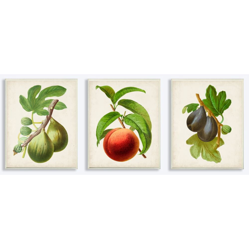 kitchen gallery wall art set of 6, vintage fruit... Free Shipping! Stupell Industries Vintage Fruits Kitchen Art Set 3pc ...