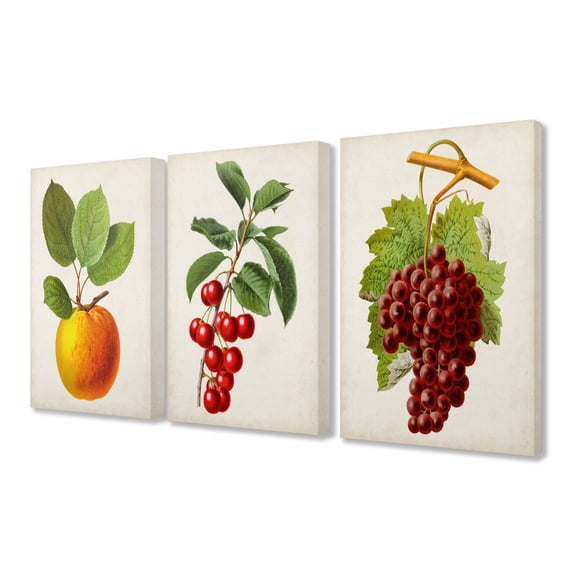 Stupell Industries Vintage Fruits Food Kitchen Dining Room Painting Design 3pc Canvas Art Set by Vision Studio