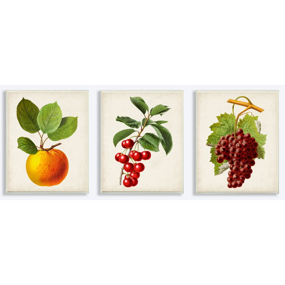 kitchen gallery wall art set of 6, vintage fruit... Stupell Industries Vintage Fruits Food Kitchen Dining Room Painting ...