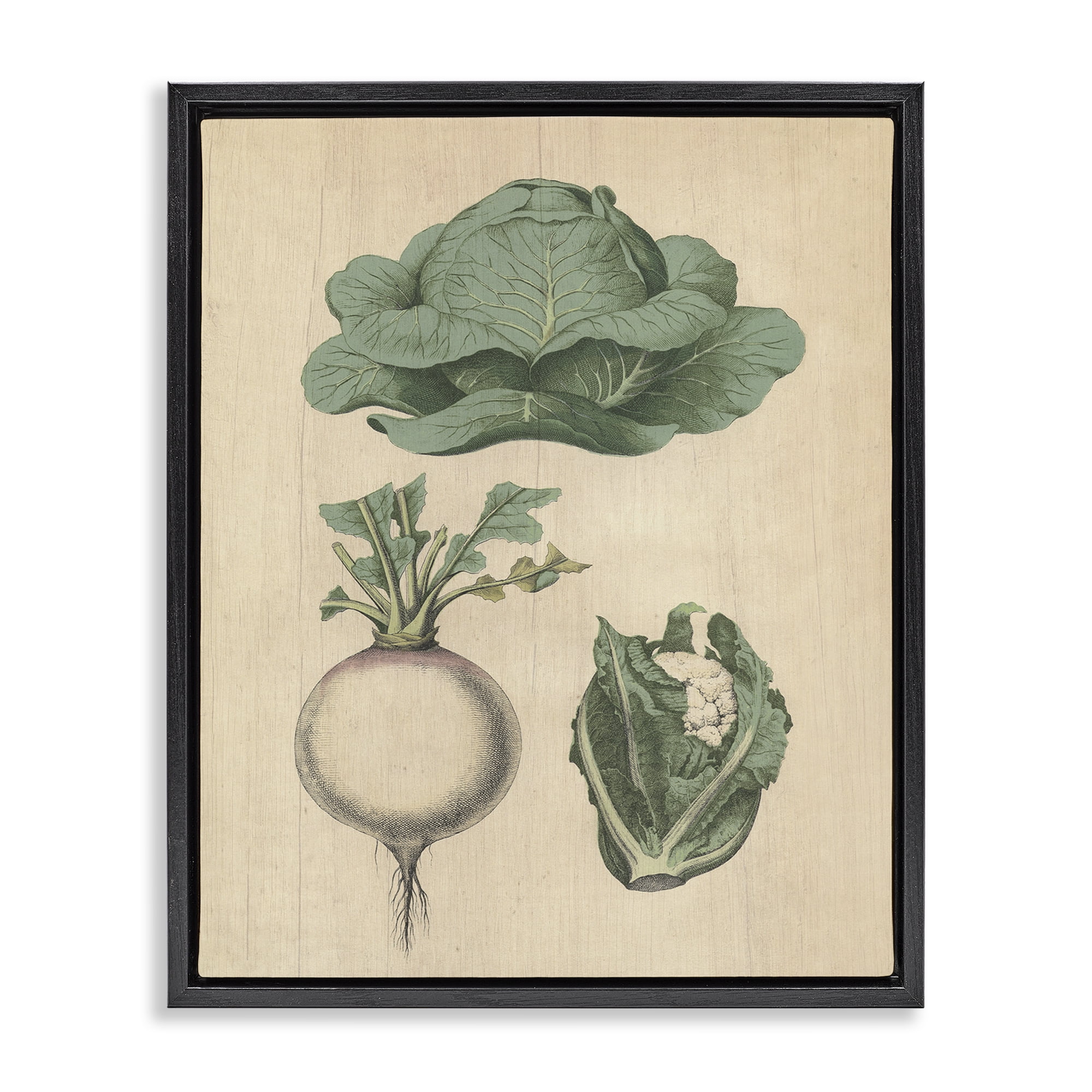 Stupell Industries Vintage Garden Vegetables Food & Beverage Painting Black Floater Framed Canvas Art Print Wall Art, 25 x 31