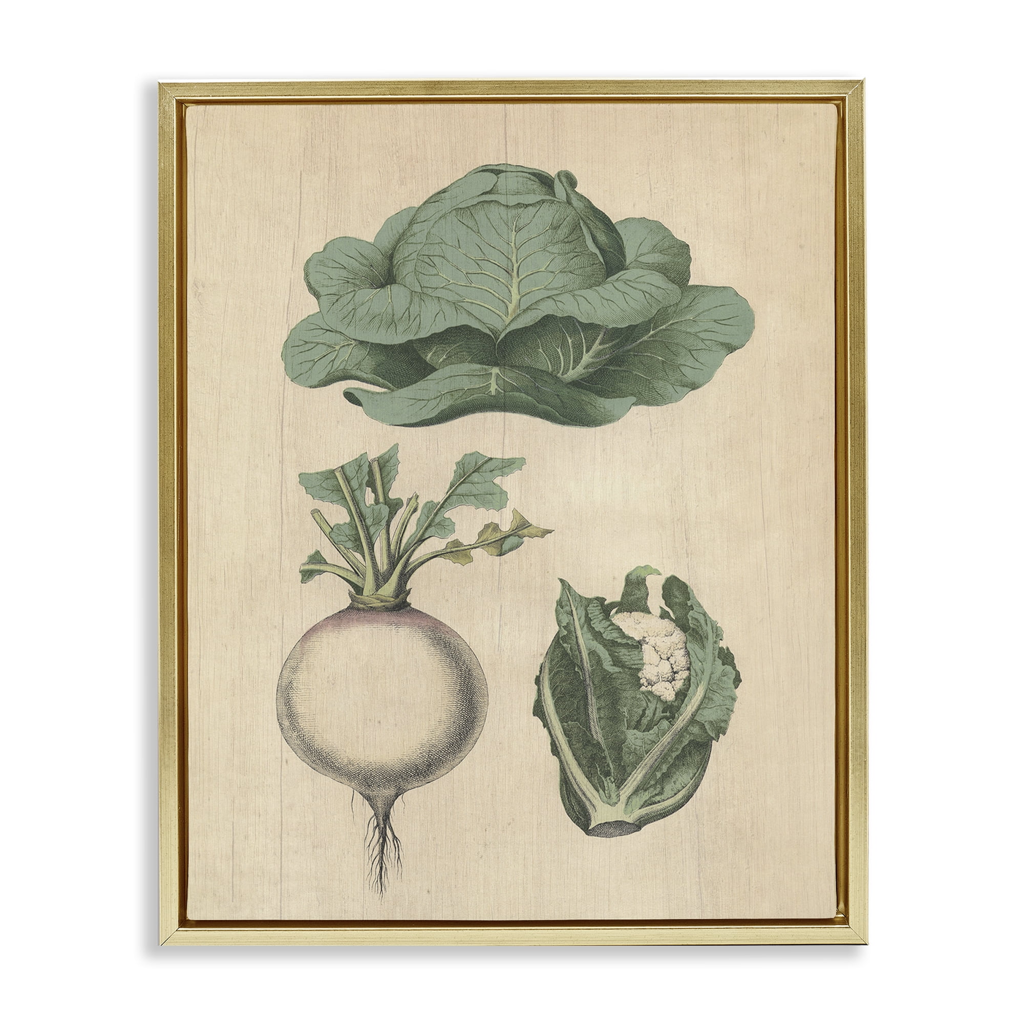 Stupell Industries Vintage Garden Vegetables Food & Beverage Painting Gold Floater Framed Canvas Art Print Wall Art, 17 x 21