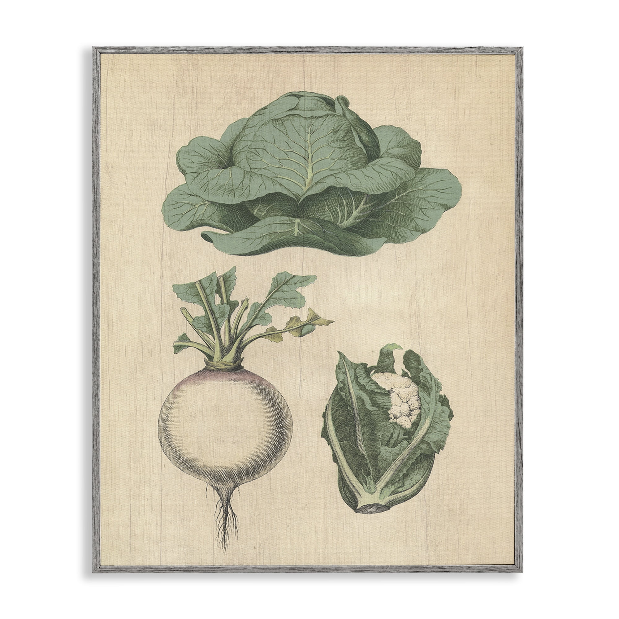 Stupell Industries Vintage Garden Vegetables Food & Beverage Painting Gray Framed Art Print Wall Art, 24 x 30