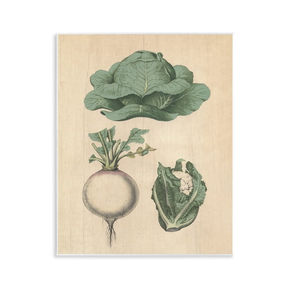 Stupell Industries Vintage Garden Vegetables Food & Beverage Painting Unframed Art Print Wall Art, 11 x 14