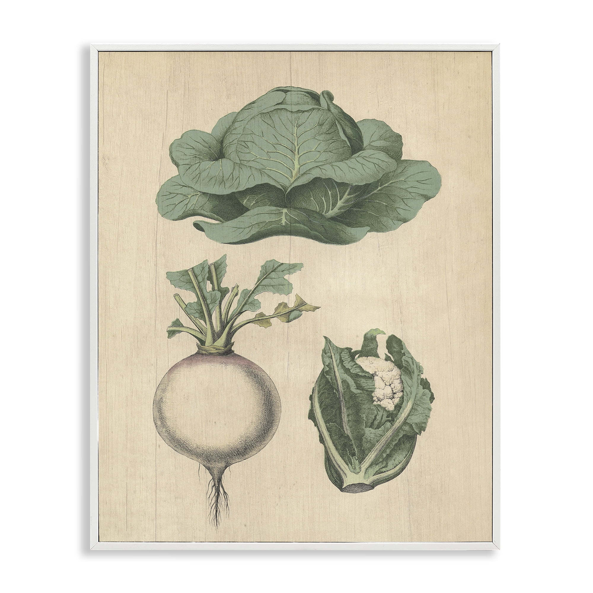 Stupell Industries Vintage Garden Vegetables Food & Beverage Painting White Framed Art Print Wall Art, 16 x 20