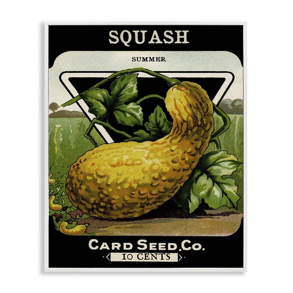 Stupell Industries Vintage Gardening Squash Food & Beverage Painting White Framed Art Print Wall Art, 16 x 20