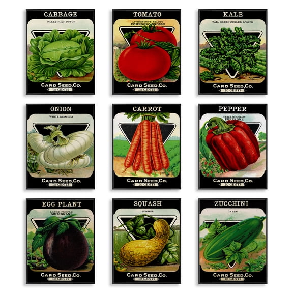 Stupell Industries Vintage Gardening Vegetables Food & Beverage Painting Black Framed Art Print Wall Art, 11 x 14, Set of 9