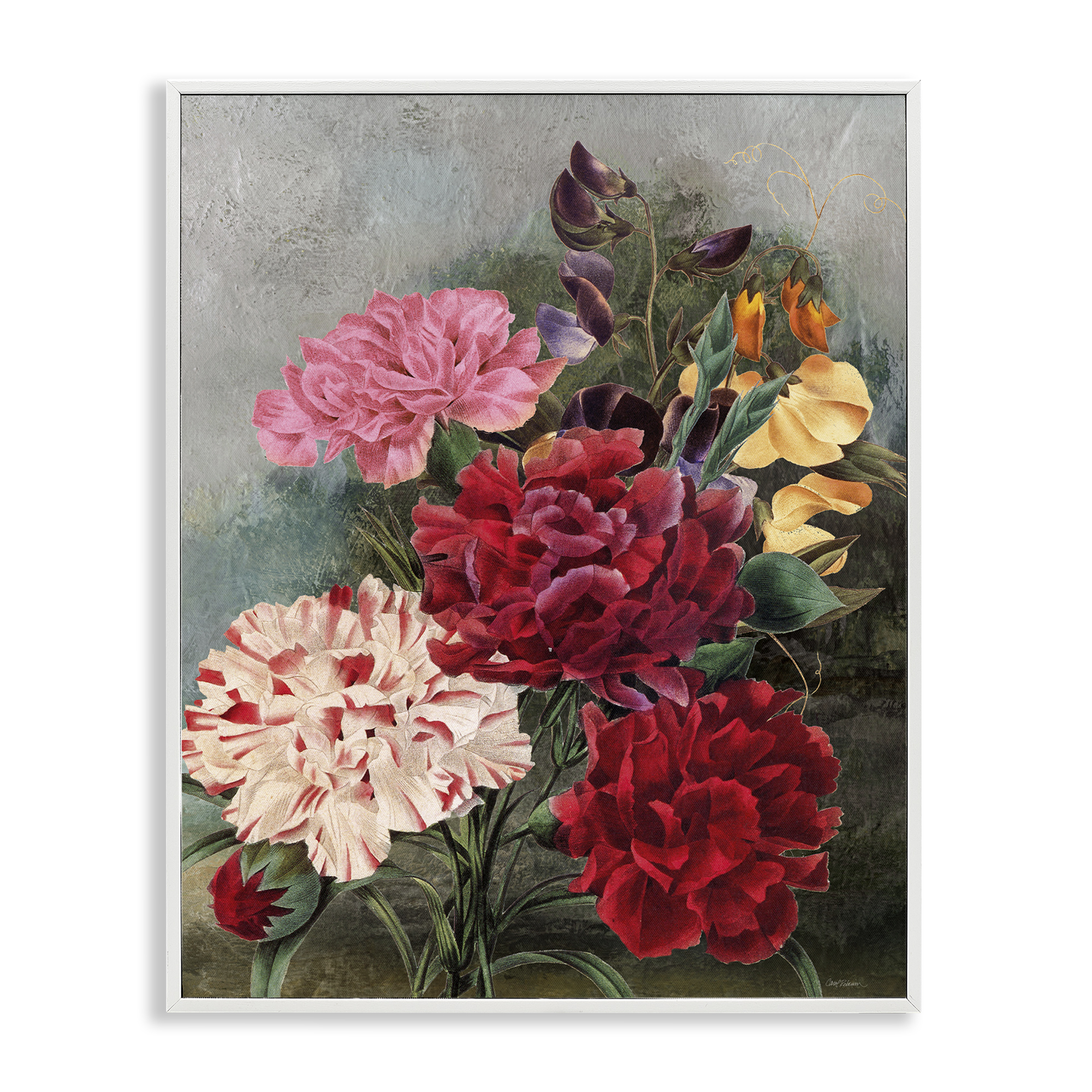 Stupell Industries Vintage Geranium Blooms Botanical & Floral Painting White Framed Art Print Wall Art, 11 x 14