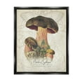 thumbnail image 1 of Stupell Industries Vintage German Nature Mushroom Botanical & Floral Painting Black Floater Framed Art Print Wall Art, 1 of 6
