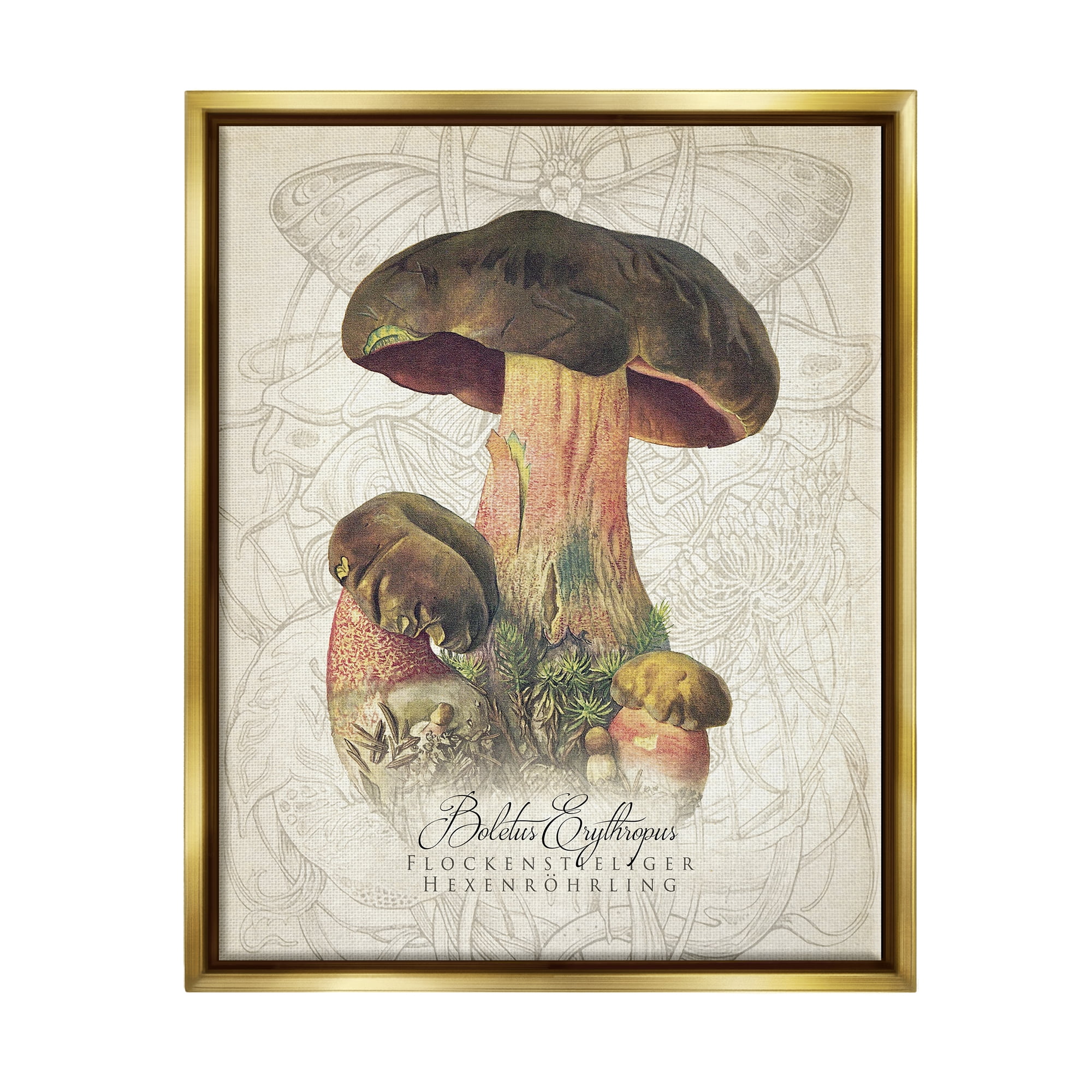 Stupell Industries Vintage German Nature Mushroom Botanical & Floral Painting Gold Floater Framed Art Print Wall Art