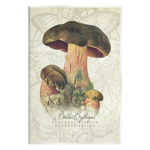 Stupell Industries Vintage German Nature Mushroom Botanical & Floral Painting Unframed Art Print Wall Art