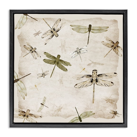 Stupell Industries Vintage Grace Dragonflies Black Framed Floater Canvas Wall Art design by Jacob Q, 18 x 18