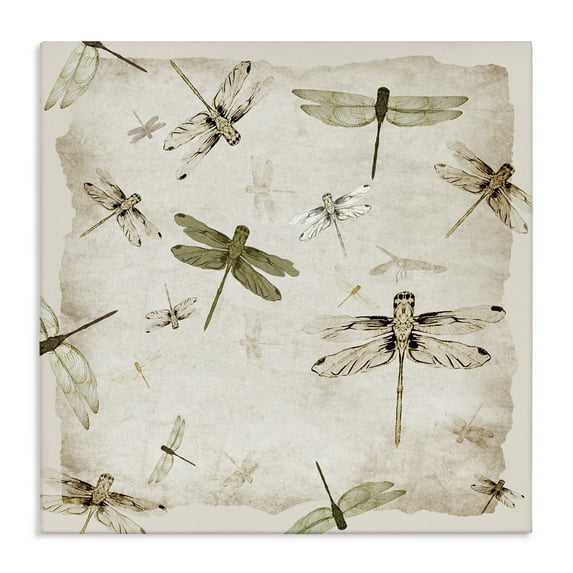 Stupell Industries Vintage Grace Dragonflies Canvas Wall Art design by Jacob Q, 17 x 17