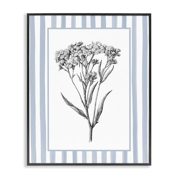Stupell Industries Vintage Herbs Blue Striped Border Black Framed Giclee Art design by Lettered and Lined, 14 x 11