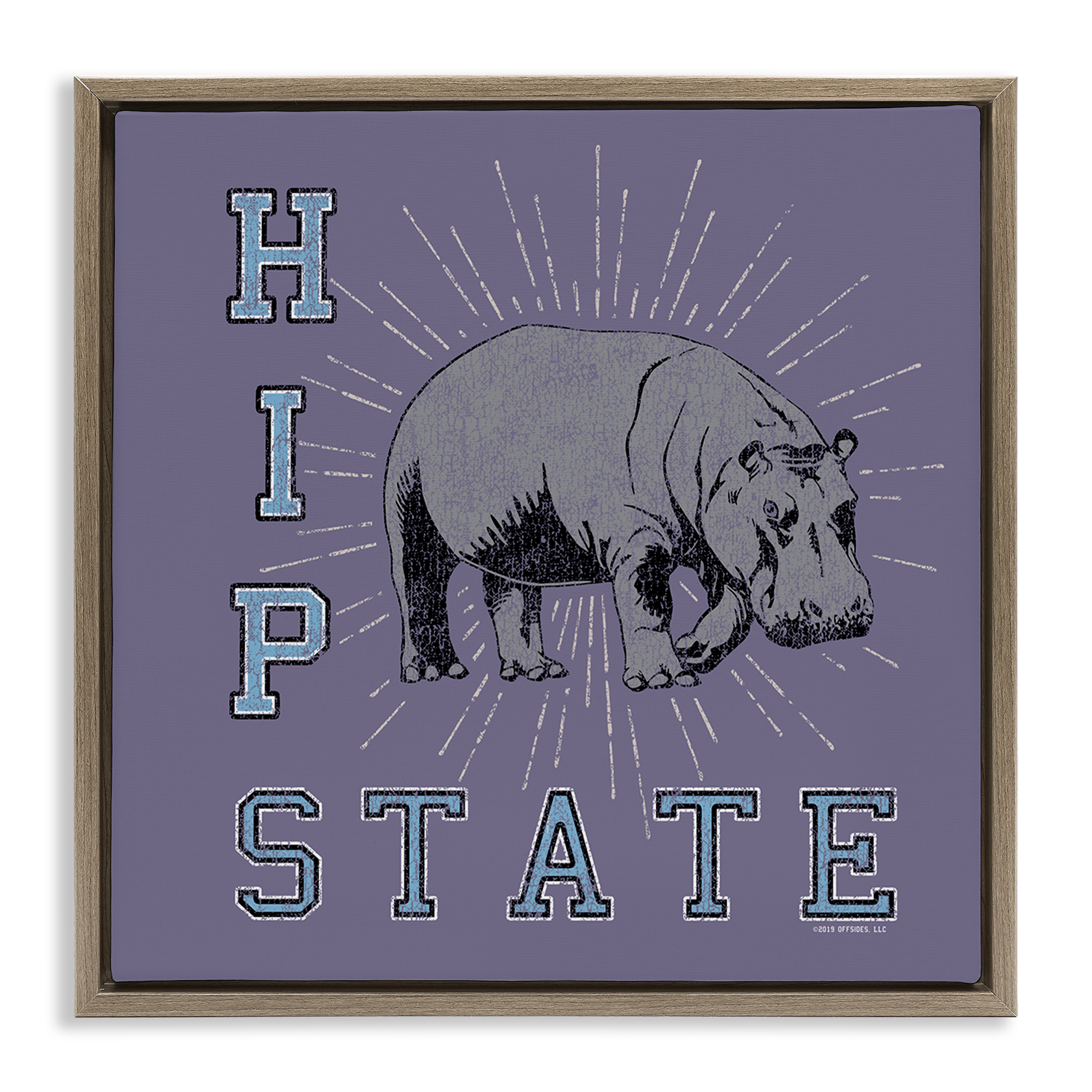 Stupell Industries Vintage Hippo State Novelty & Humor Painting Brown Floater Framed Canvas Art Print Wall Art, 25 x 25