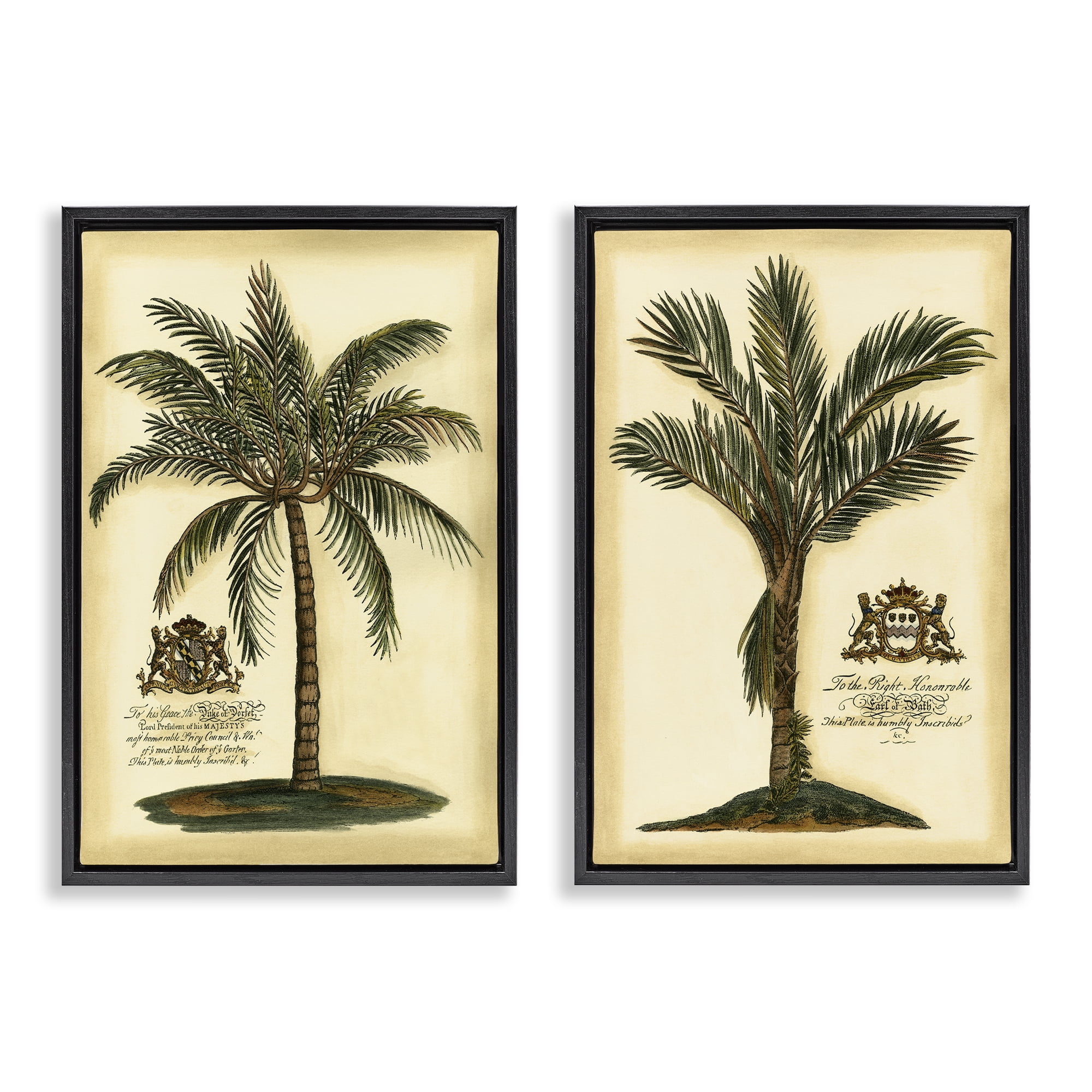 Stupell Industries Vintage Historical Palms 2 Piece Black Framed Floater Canvas Set, design by Vision Studio
