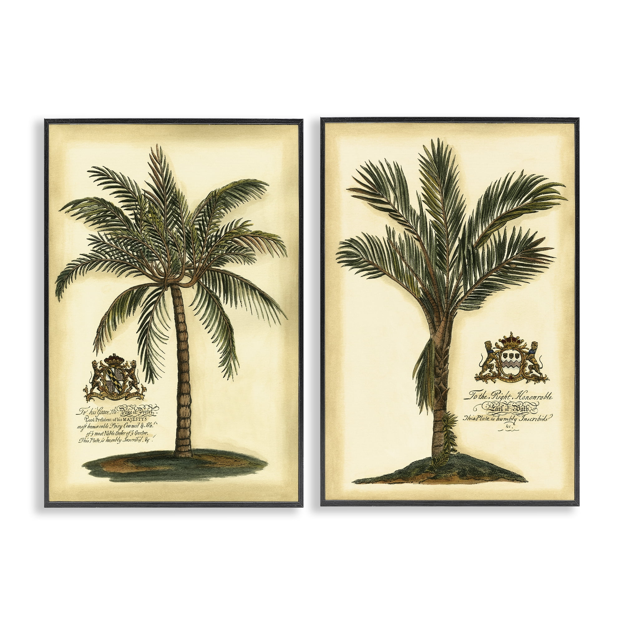 Stupell Industries Vintage Historical Palms 2 Piece Black Framed Giclee Art Set, design by Vision Studio
