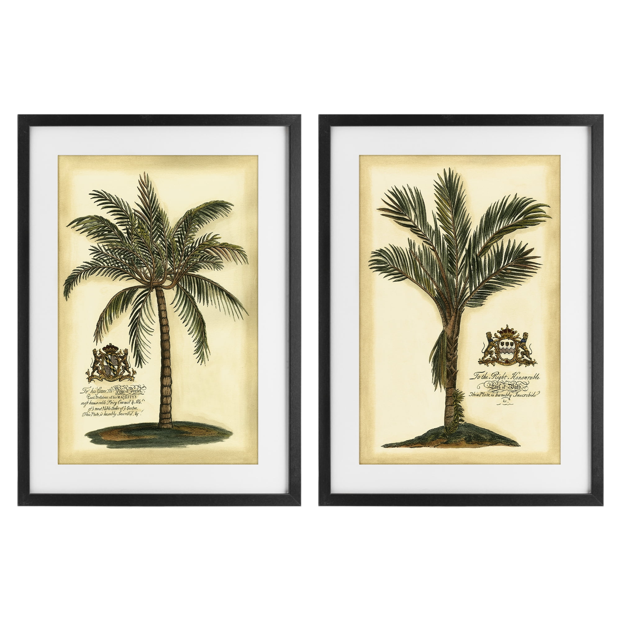 Stupell Industries Vintage Historical Palms 2 Piece Black Framed Print Under Glass Set, design by Vision Studio