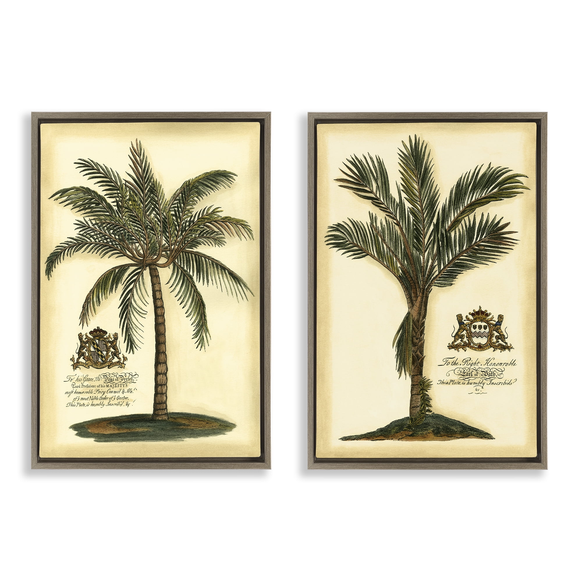 Stupell Industries Vintage Historical Palms 2 Piece Brown Framed Floater Canvas Set, design by Vision Studio