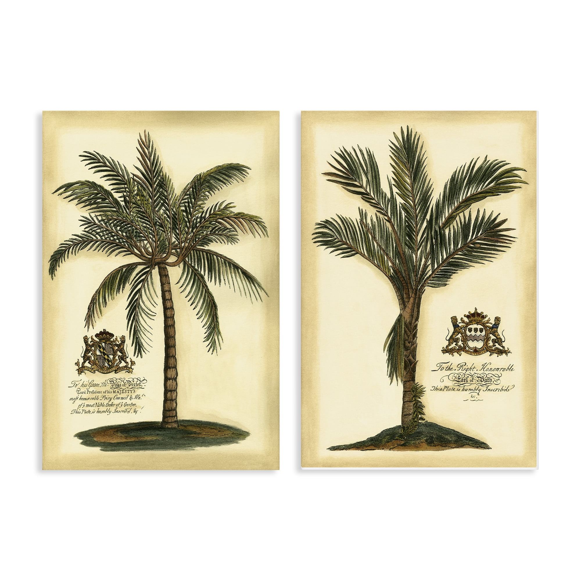 Stupell Industries Vintage Historical Palms 2 Piece Canvas Wall Art Set, design by Vision Studio