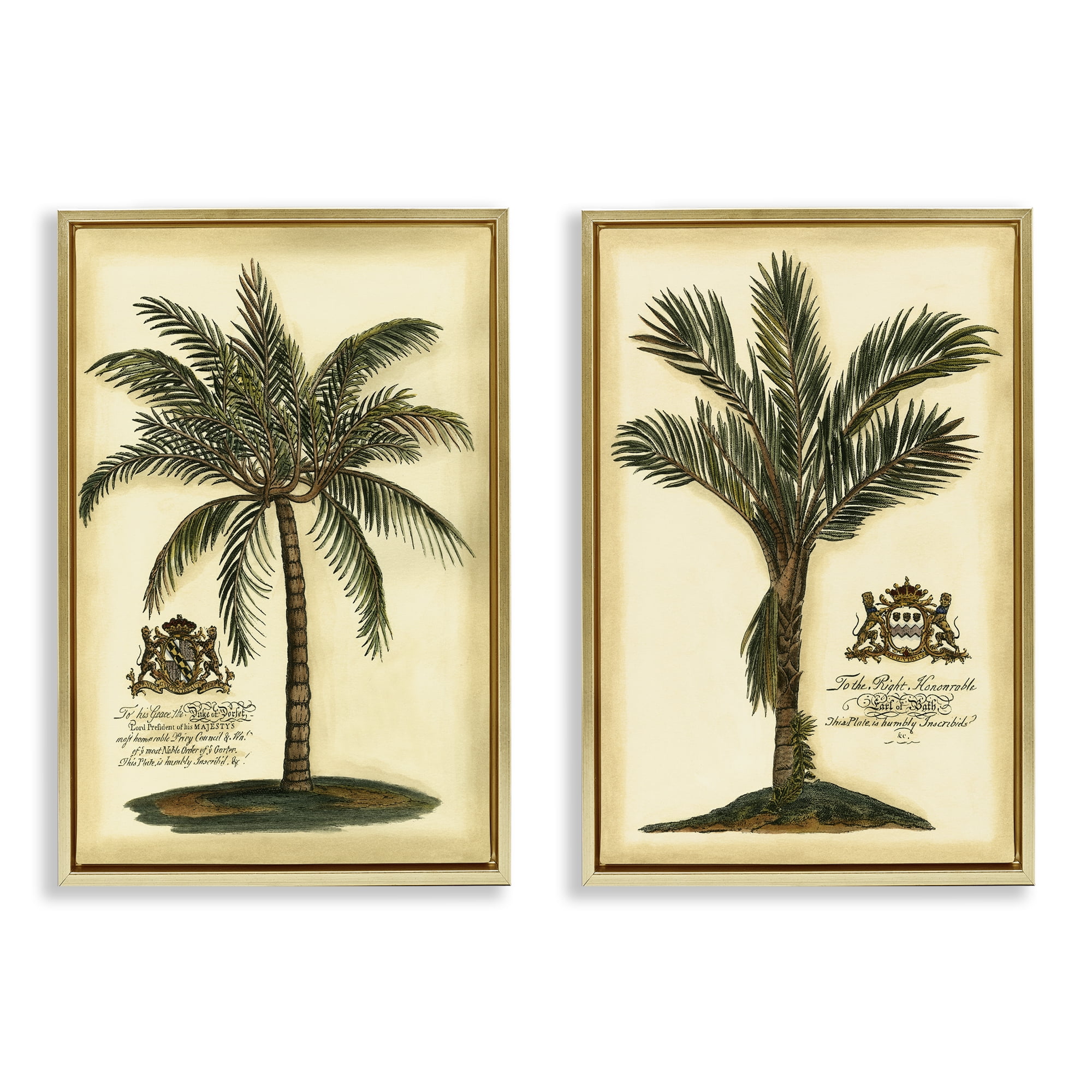 Stupell Industries Vintage Historical Palms 2 Piece Gold Framed Floater Canvas Set, design by Vision Studio