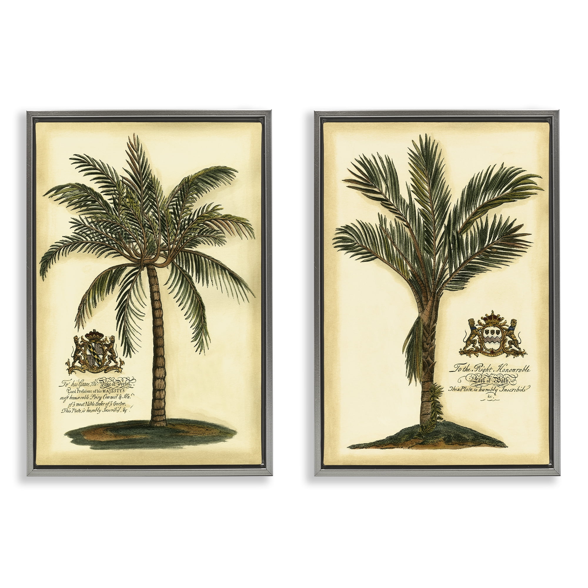 Stupell Industries Vintage Historical Palms 2 Piece Gray Framed Floater Canvas Set, design by Vision Studio