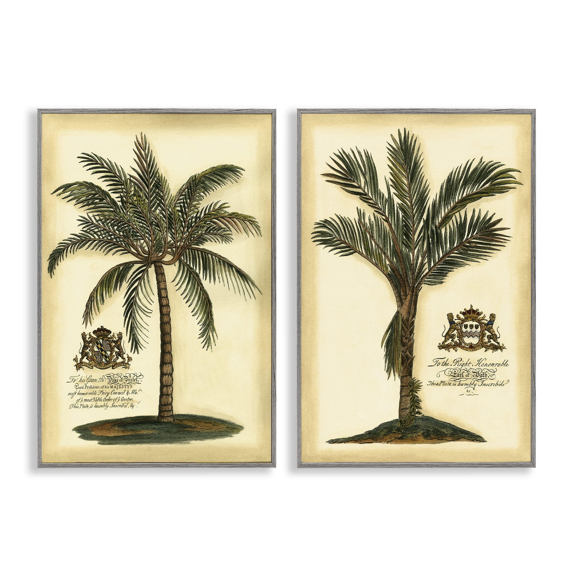 Stupell Industries Vintage Historical Palms 2 Piece Gray Framed Giclee Art Set, design by Vision Studio