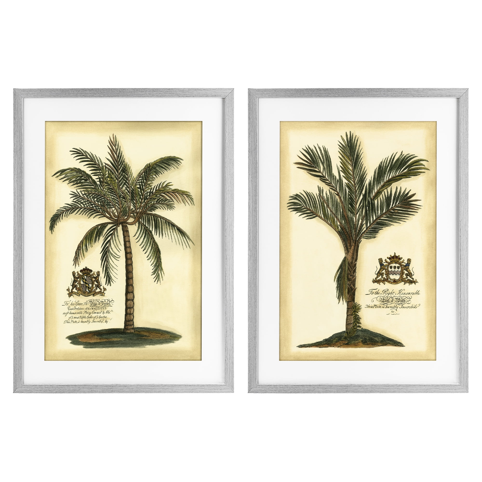 Stupell Industries Vintage Historical Palms 2 Piece Gray Framed Print Under Glass Set, design by Vision Studio