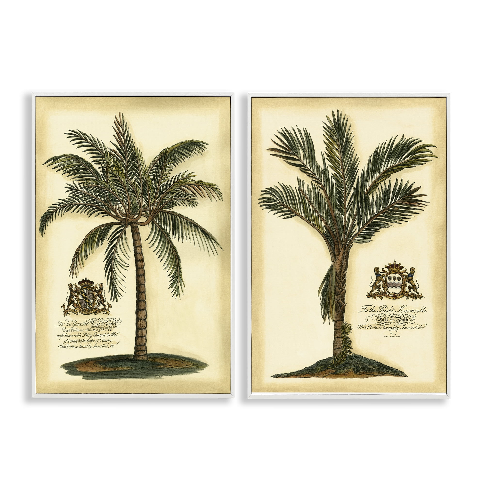 Stupell Industries Vintage Historical Palms 2 Piece White Framed Giclee Art Set, design by Vision Studio