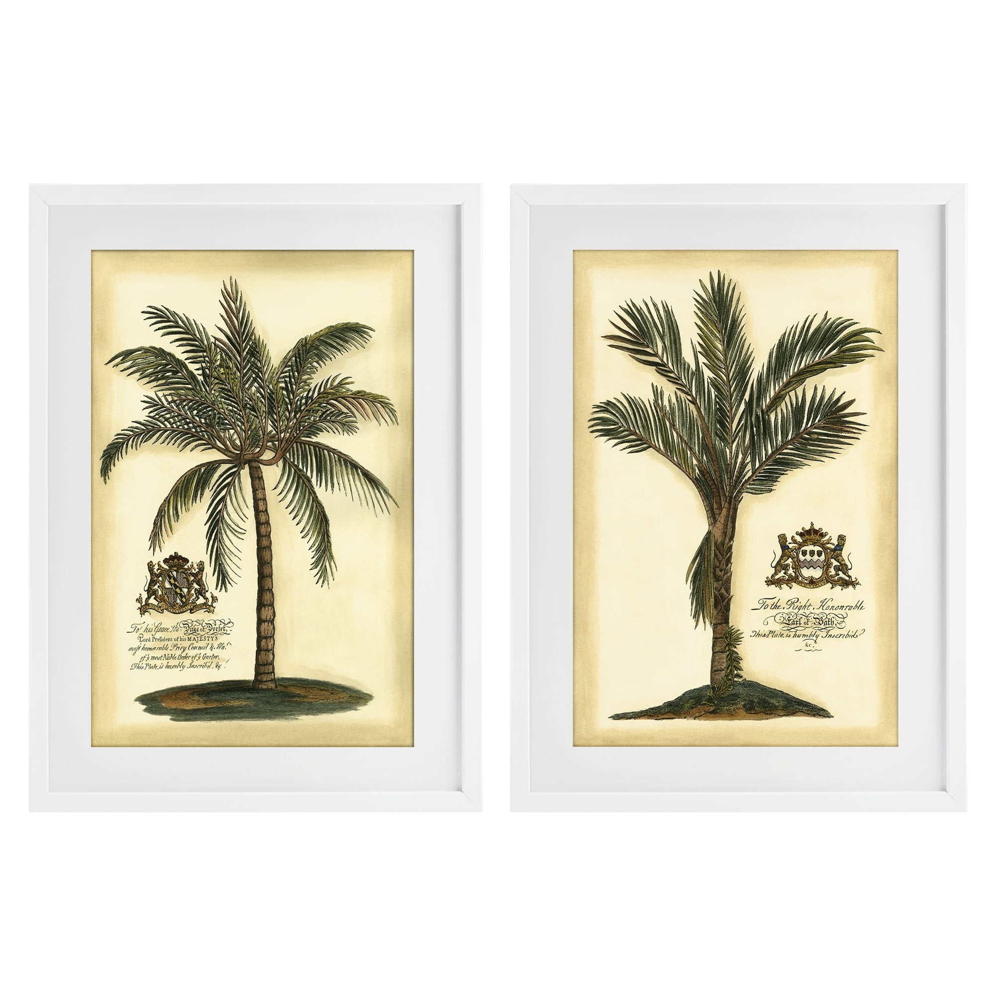 Stupell Industries Vintage Historical Palms 2 Piece White Framed Print Under Glass Set, design by Vision Studio
