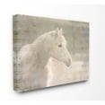 thumbnail image 1 of Stupell Industries Vintage Horse Animal Watercolor Painting Canvas Wall Art by Kimberly Allen, 1 of 3