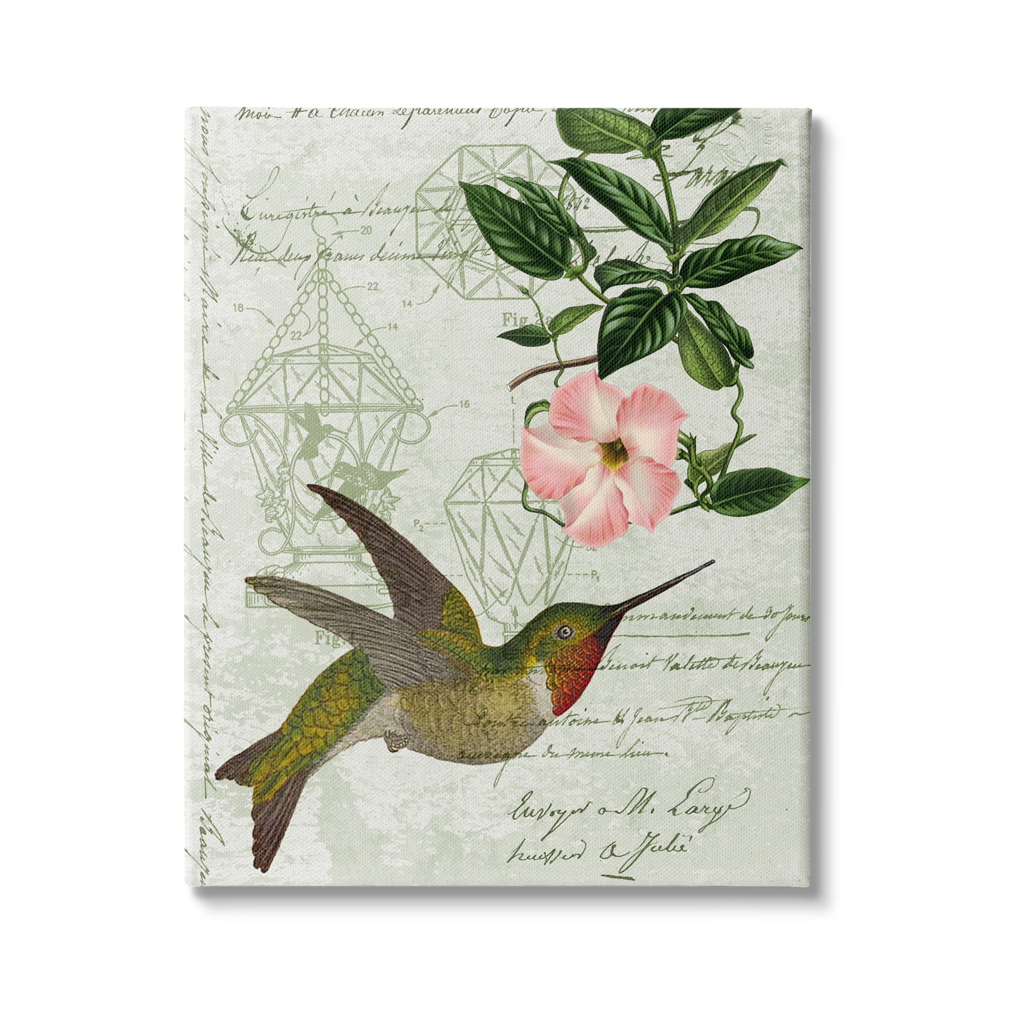Stupell Industries Vintage Hummingbird Feeder Patent Pink Floral Antique Script, 30 x 40, Design by Daphne Polselli