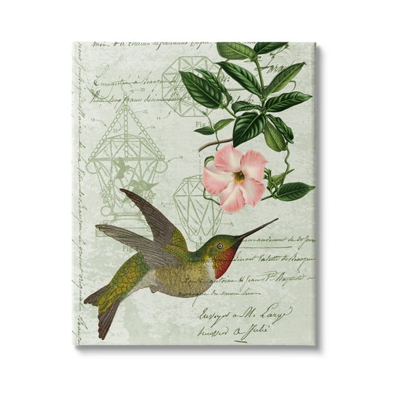 Stupell Industries Vintage Hummingbird Feeder Patent Pink Floral Antique Script, 36 x 48, Design by Daphne Polselli