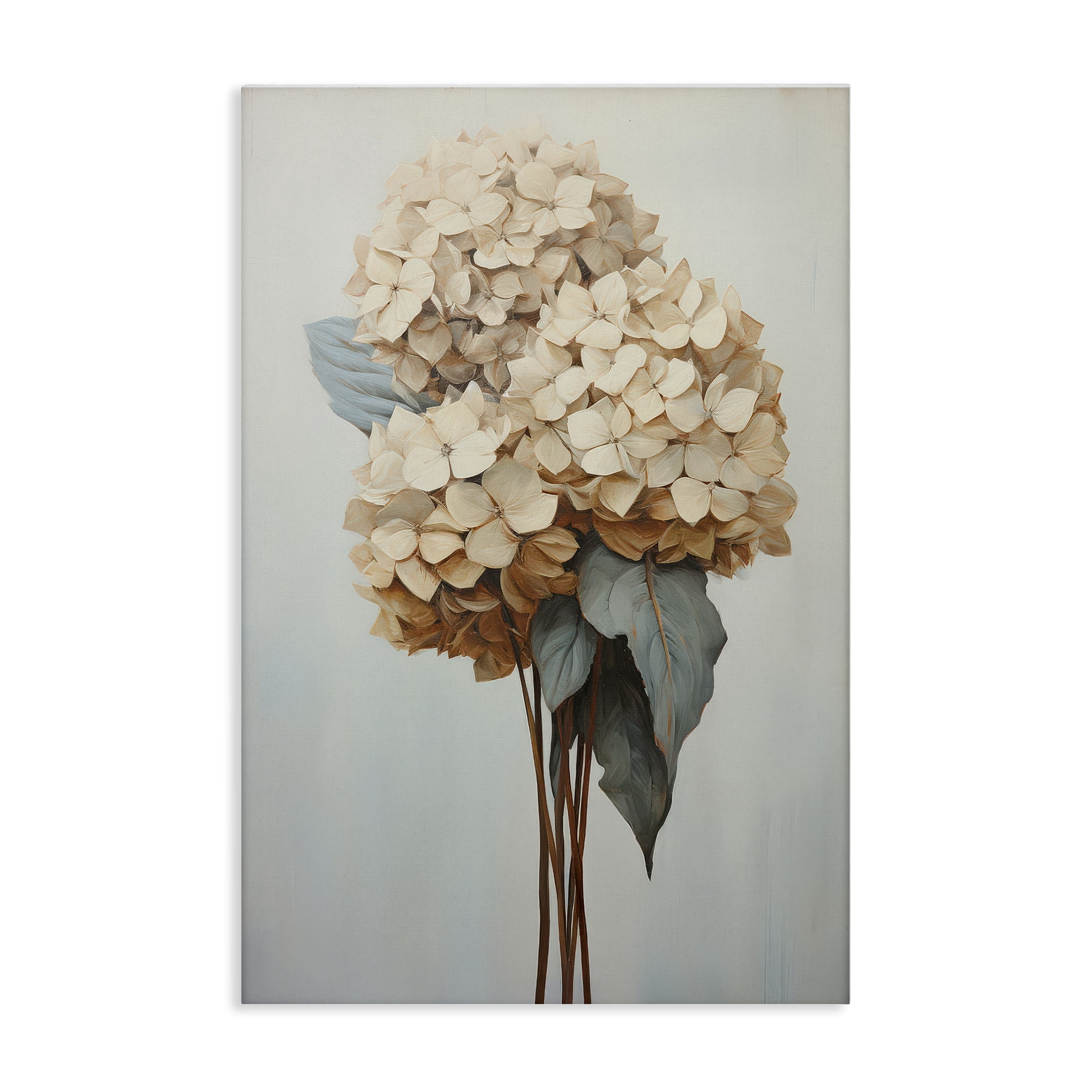 Stupell Industries Vintage Hydrangea Florets Plants & Flowers Painting Wrapped Canvas Art Print Wall Art, 30 x 45